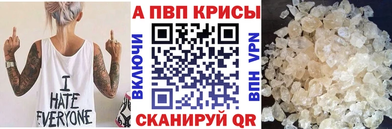 Alfa_PVP СК КРИС  Коряжма 