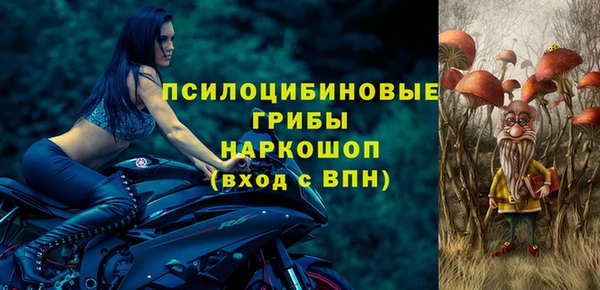 индика Нефтегорск