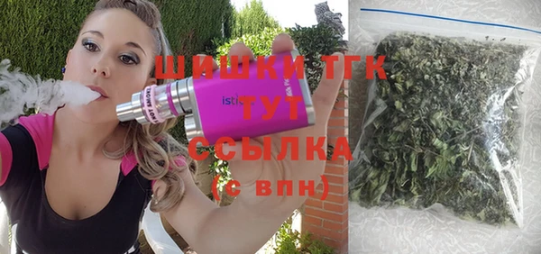 индика Нефтегорск