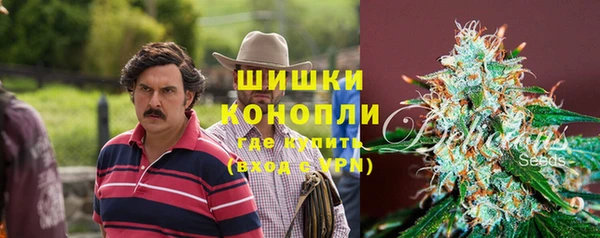 сатива Новокубанск