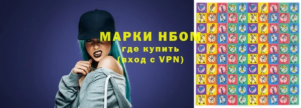 индика Нефтегорск