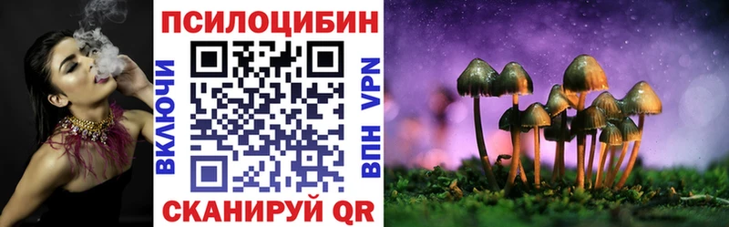 Галлюциногенные грибы Cubensis Коряжма